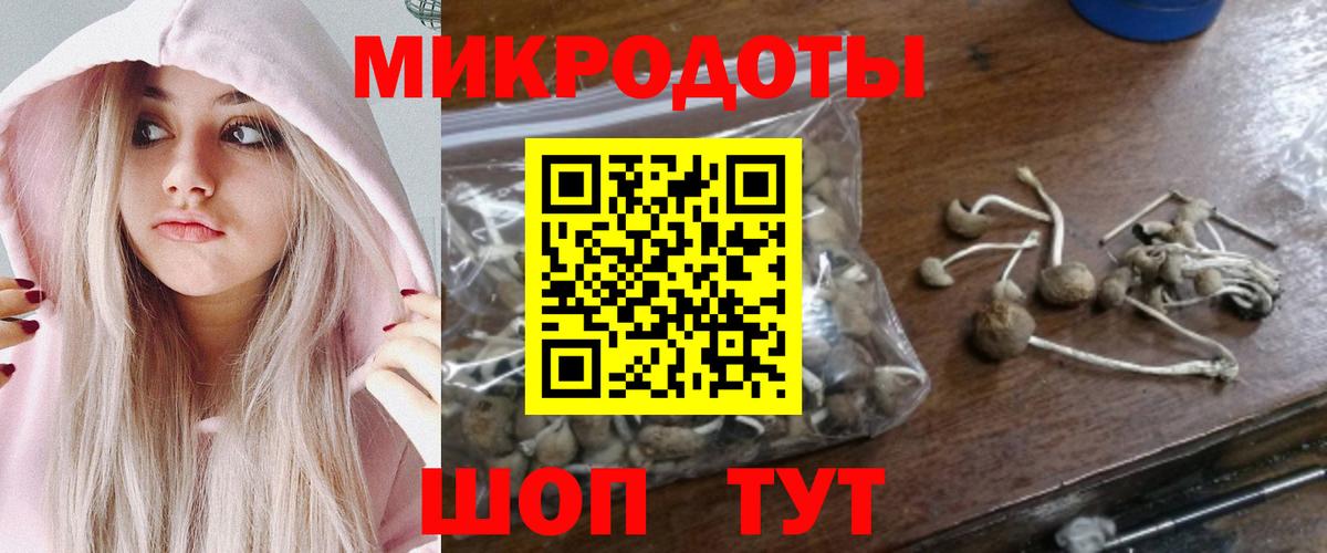 купить наркотик  Галлюциногенные грибы мицелий  Галлюциногенные грибы Psilocybine cubensis  Вход с VPN  Кемерово 